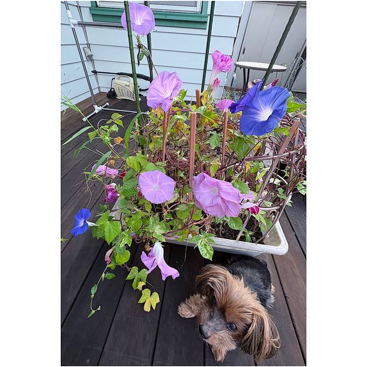 Cebab931 549d 425c 8d7e 56748719dea0 1727991172152