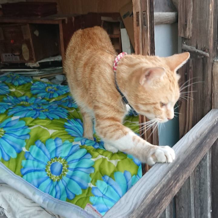 Cebac3fb 201c 4f71 8090 7ac3d8364bde 1560850236092