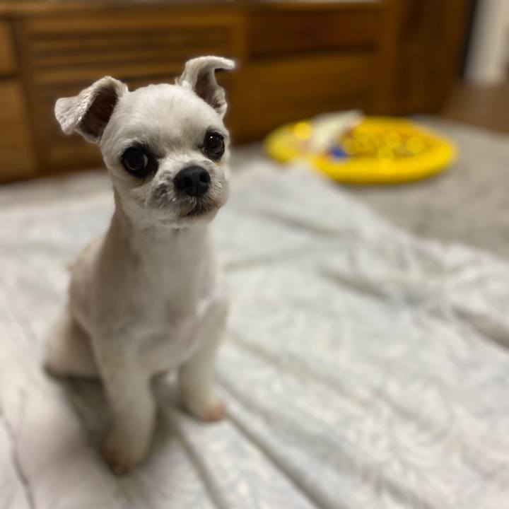 Cebac535 b1ca 4b90 86bb f2cbf85390cd 1633783598216