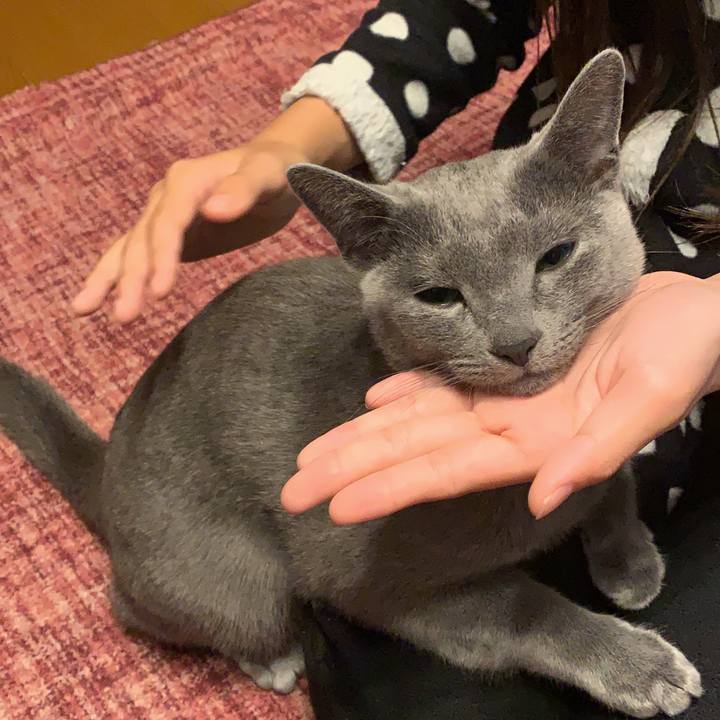 Cebadd8f dcd0 40c3 8025 c4d64b7d6756 1575200673951