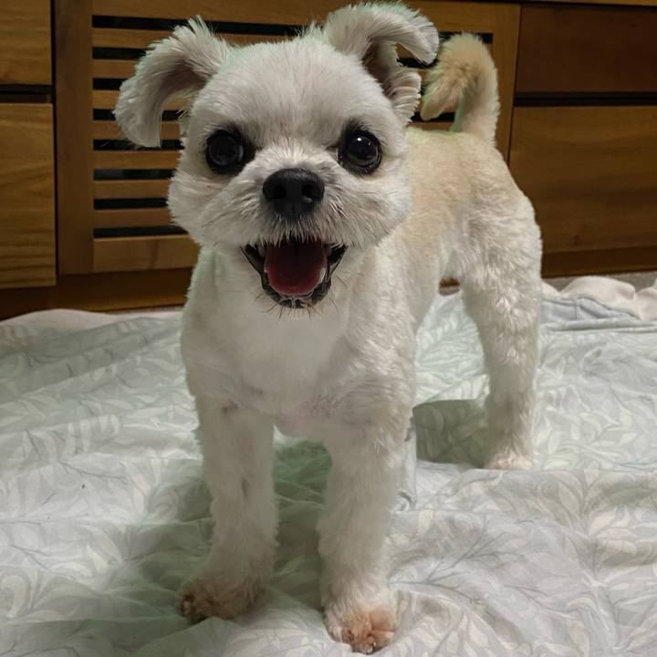 Cebb1b9d 0222 408f b5fe 9bf09aff9d61 1665827479445