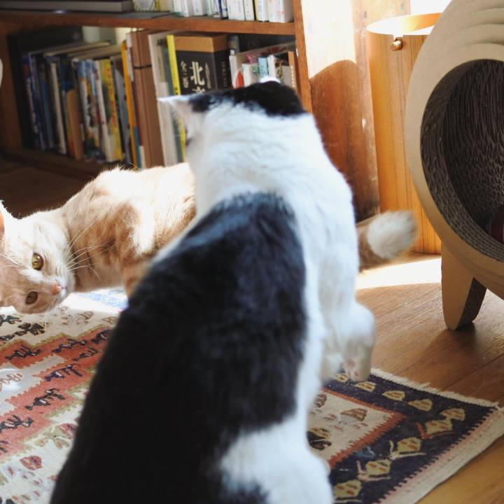 Cebb5a36 8fd7 4379 bde9 babad9e1228d 1590401980298