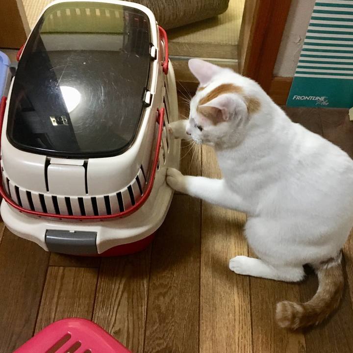 Cebb9781 e684 4dc7 b87f 518f11842250 1515887816873