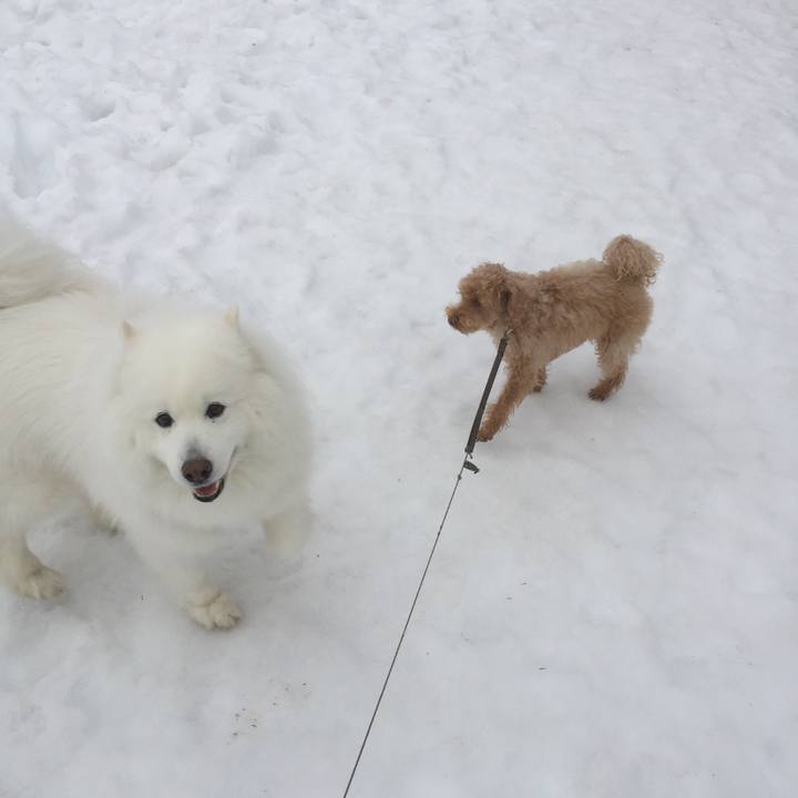 Cebbe7f7 00a2 4833 bc54 ee6425348f48 1520979266424