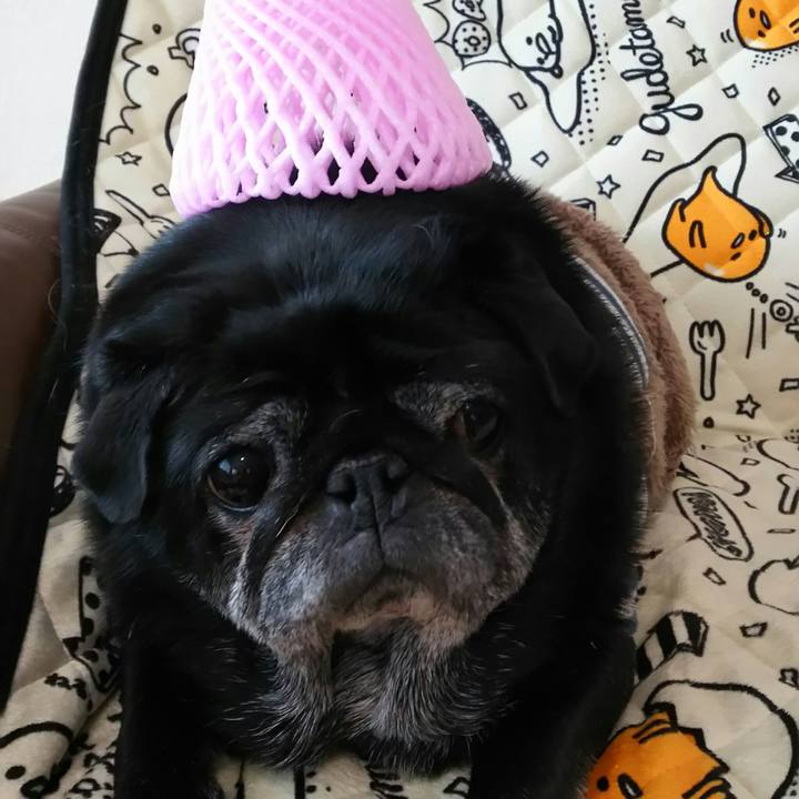 Cebbf1b0 6842 447b be5c fb585eb50b21 1539306594141