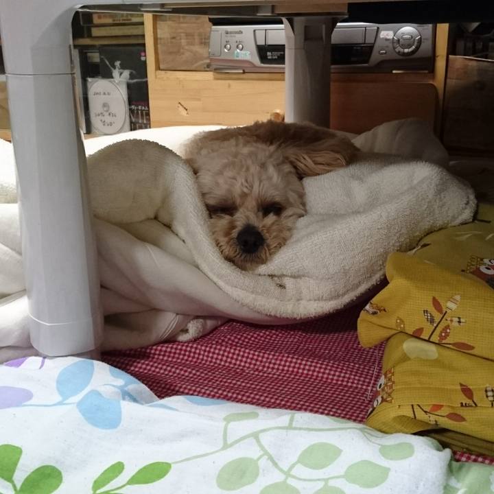 Cebbf7cb a1c9 4b83 8f3d 4d1d6f79b7d1 1528756324158