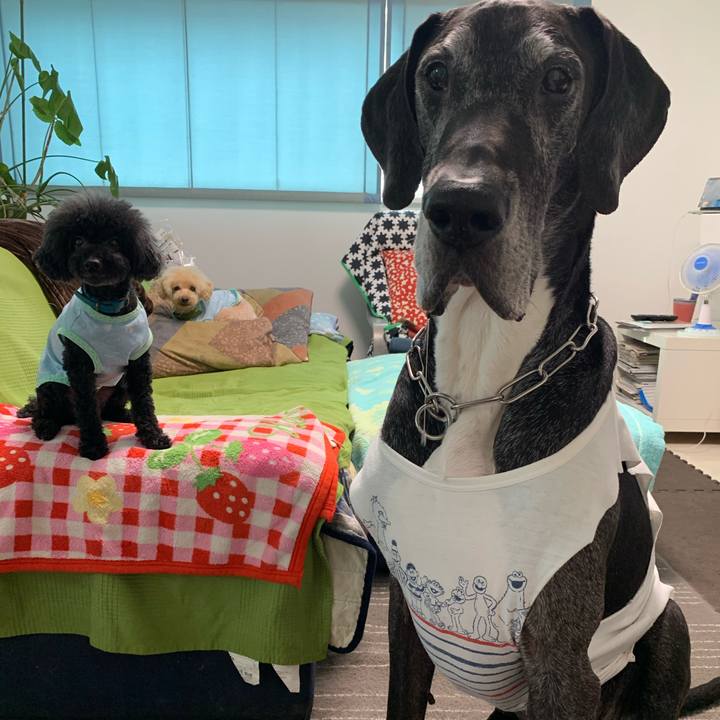 Cebc1516 bd83 43d3 a382 47aa7f99e643 1590446585852