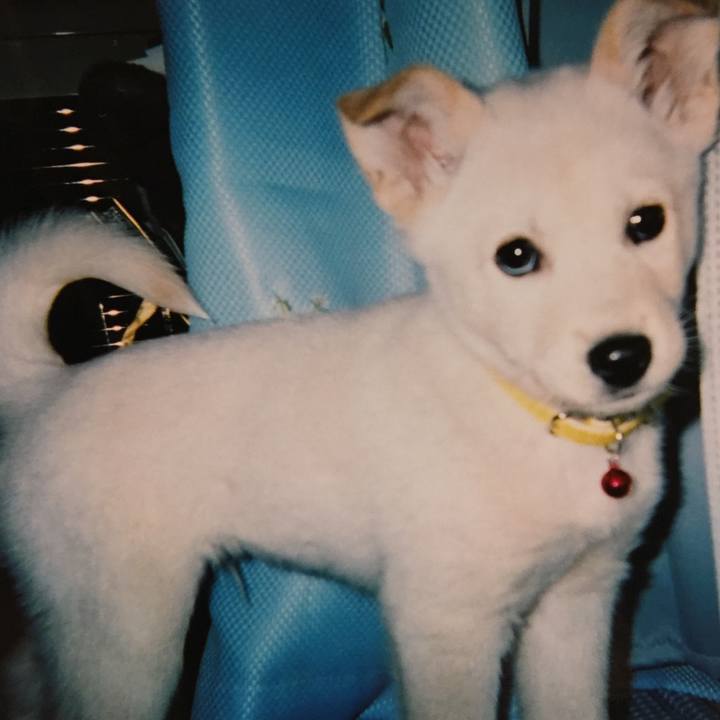 Cebc22d5 a806 4ba5 9044 e2c80e09e046 1523177669340