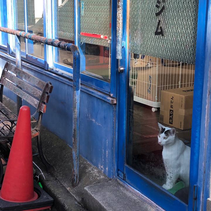 Cebc34c5 fe25 4c6d 852c eed64055ed42 1614436266122