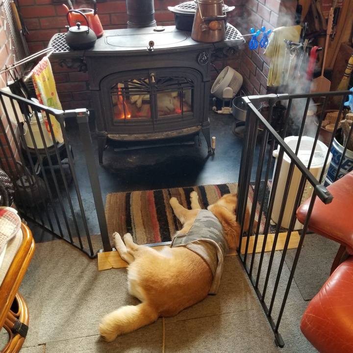 Cebc4054 7e5f 43b8 93d6 b87411e15005 1645747294584