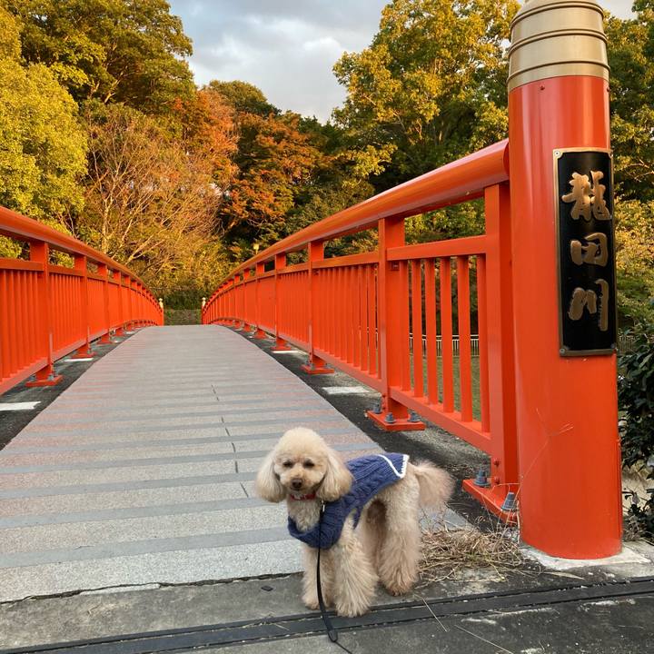 Cebc47d2 6d4e 4a93 a655 6b73f4fbcee7 1636022581237