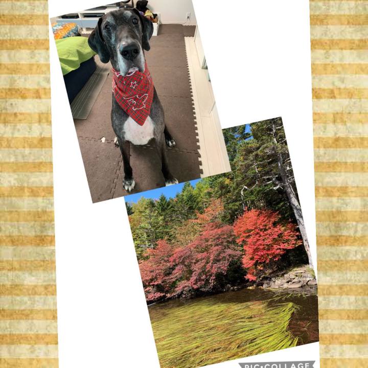 Cebc73fb d21b 428b a5e1 b84f0f6bd092 1570319065473