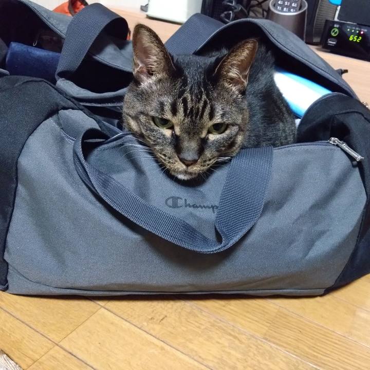 Cebc9a61 4218 4d26 b1eb f743f85de93e 1764598959348