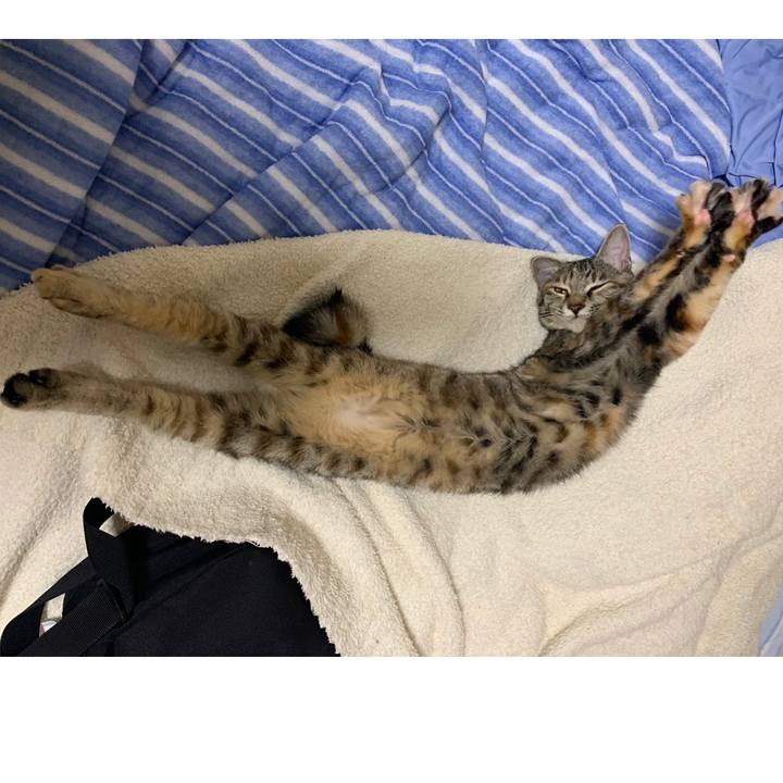 Cebcf3e5 fdc0 43f9 97fa c95af3cdb4fd 1601614502815