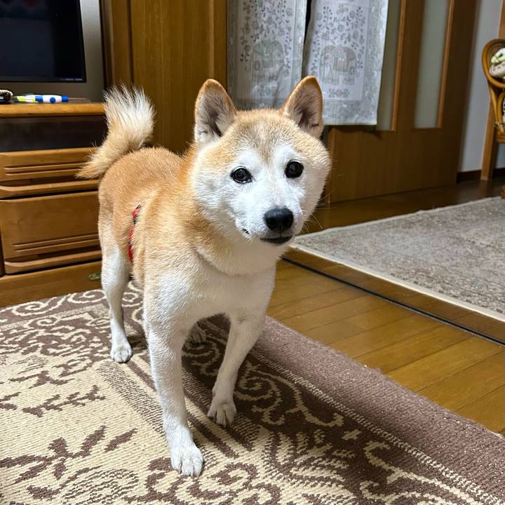 Cebd0384 c976 4c68 af9d 9f618822bd8b 1753357225265