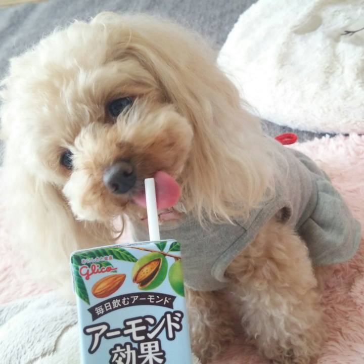 Cebd3062 0eb9 4692 b144 574c718653c2 1523663612525