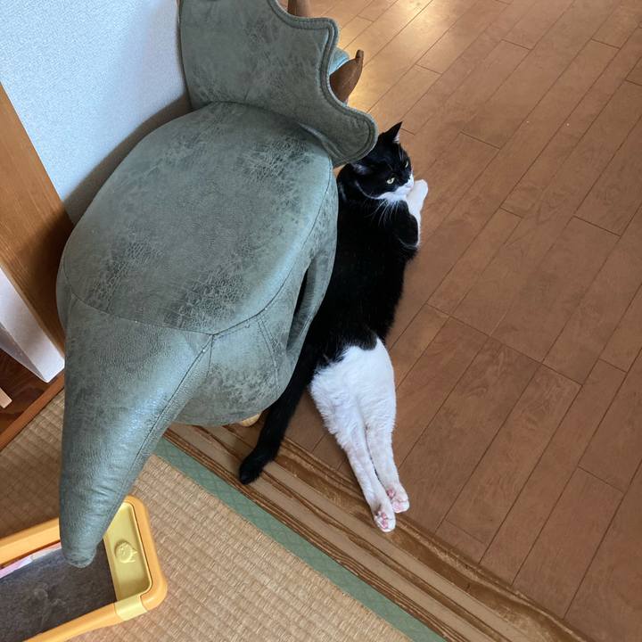 Cebd4111 b5d4 434e 8b15 cd546ccddc93 1623813051297