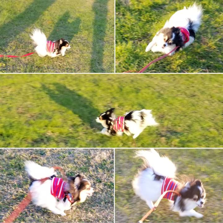 Cebd4410 ed7e 462f 809e fff311e1bd15 1543078934861