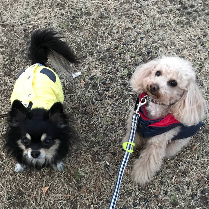 Cebd5172 a695 4002 8348 2ddfe896ce13 1514984674742