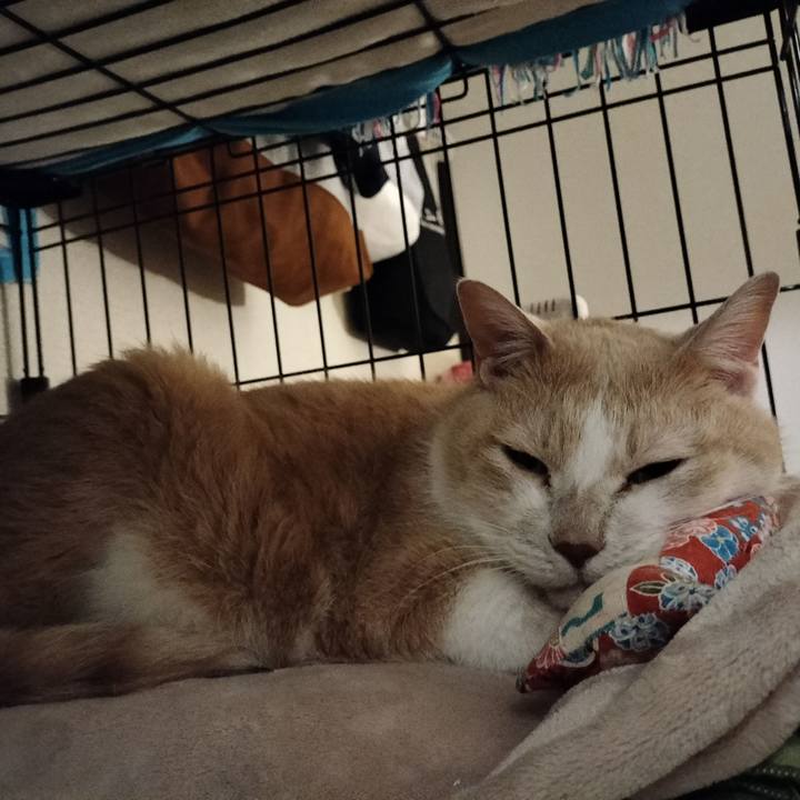 Cebdd5fa 1db3 4e24 b4ed 47f1b60ea0d5 1638790056487