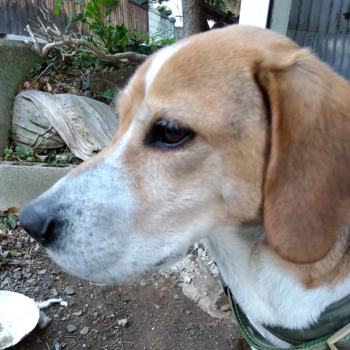 Cebdee36 c6e6 4b9c bc8f a9427d7082a4 1679309306525