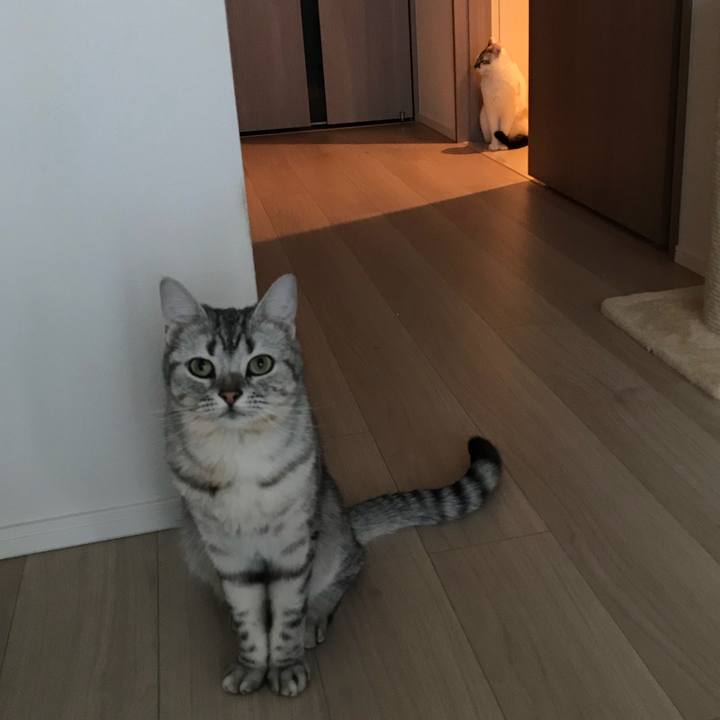 Cebdfc3c fabd 4cfe 972c 1e57ea4997a5 1525129678697