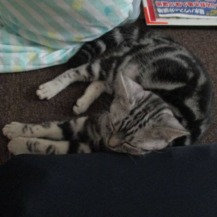 Cebe0a2b 65f9 456a 8862 eaa64c1e246f 1537771540272