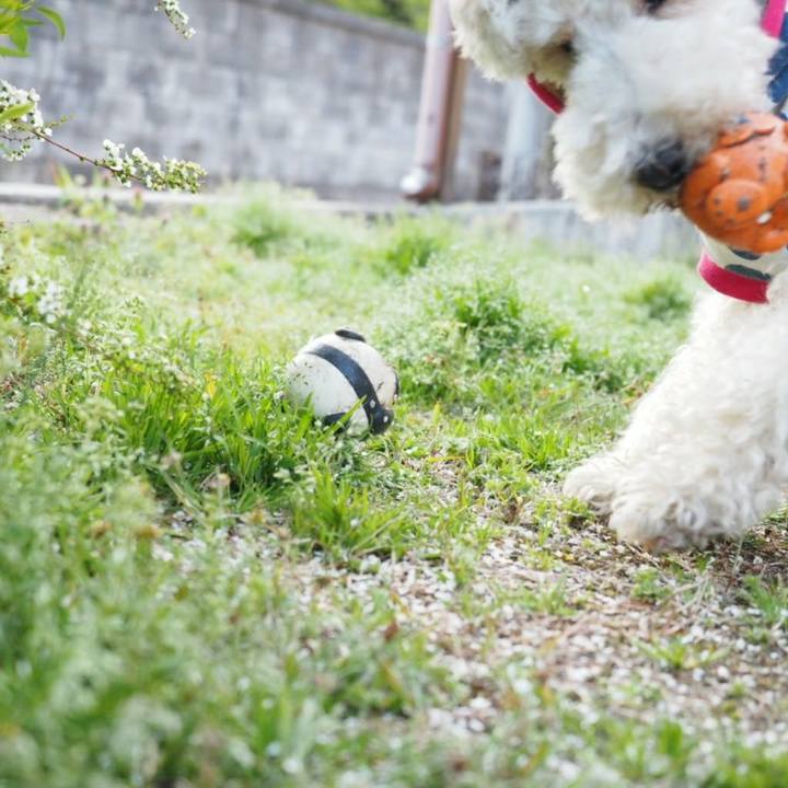 Cebe13fe cc61 438a b161 0c13590abc29 1523990678690