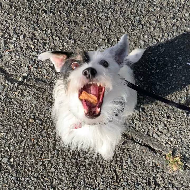 Cebe1ee1 ab8b 45b2 9675 9fc0998016df 1695596252651