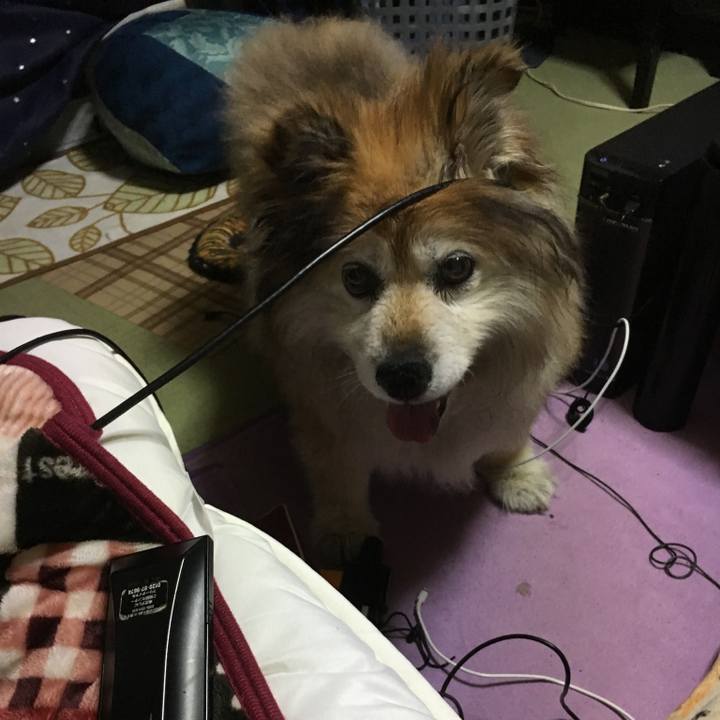 Cebe3c2d 929f 42cd 96f3 220ee67c877d 1563782081663