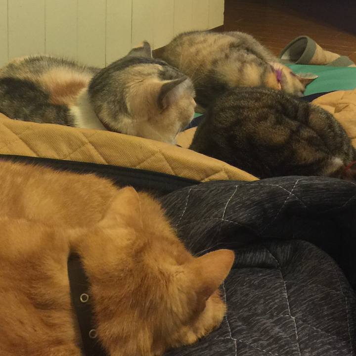 Cebe4d03 5aec 44b8 a893 619759ab3b0a 1547556794374