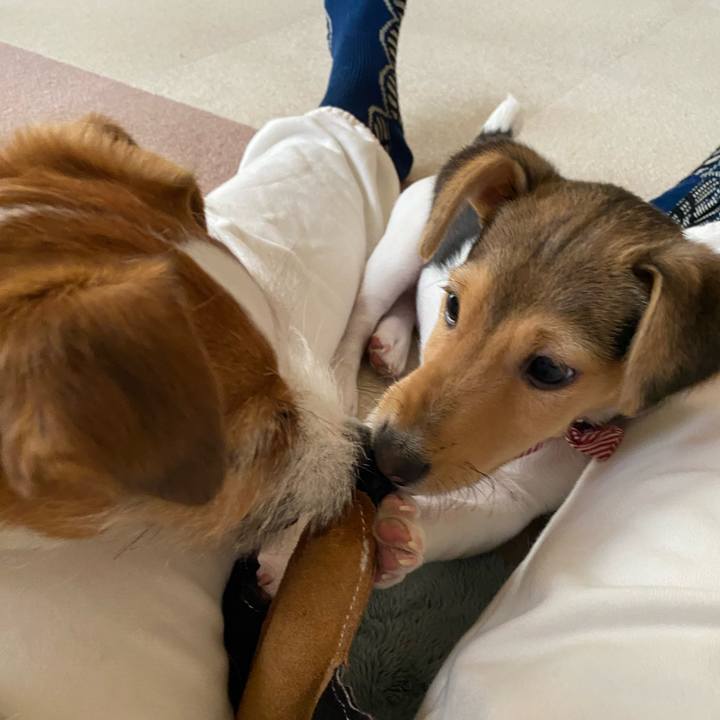 Cebe5e3f 180a 443f a342 5dfaf85b7f61 1745127309679