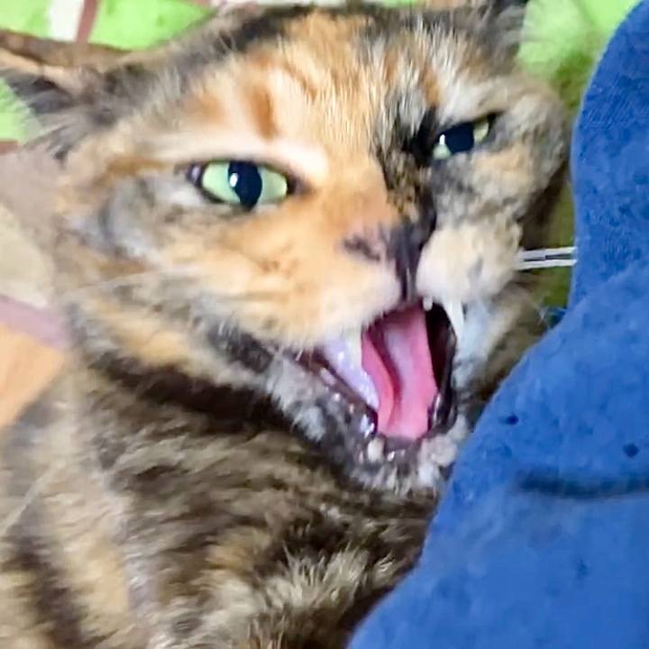 Cebe5ed5 2076 4328 9c52 3441eaf40cf0 1737403750958