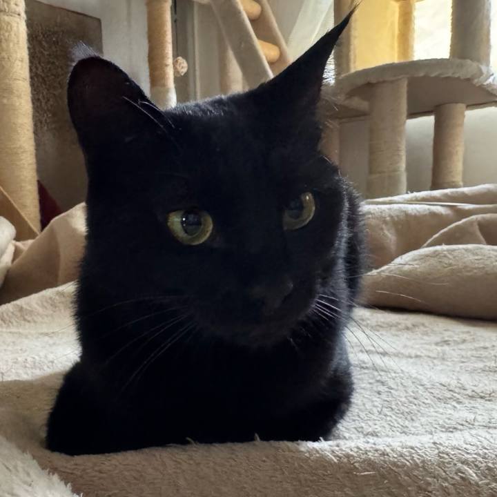 Cebe72a2 3cac 4937 b9c3 655ae02640f2 1748609284209