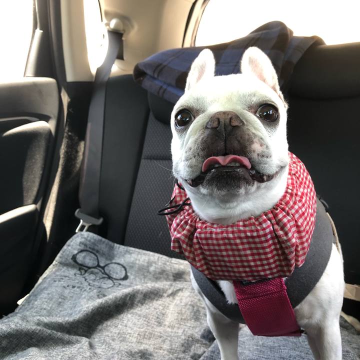 Cebe82a8 dc88 4488 be5b 10beb5da1330 1626522420806