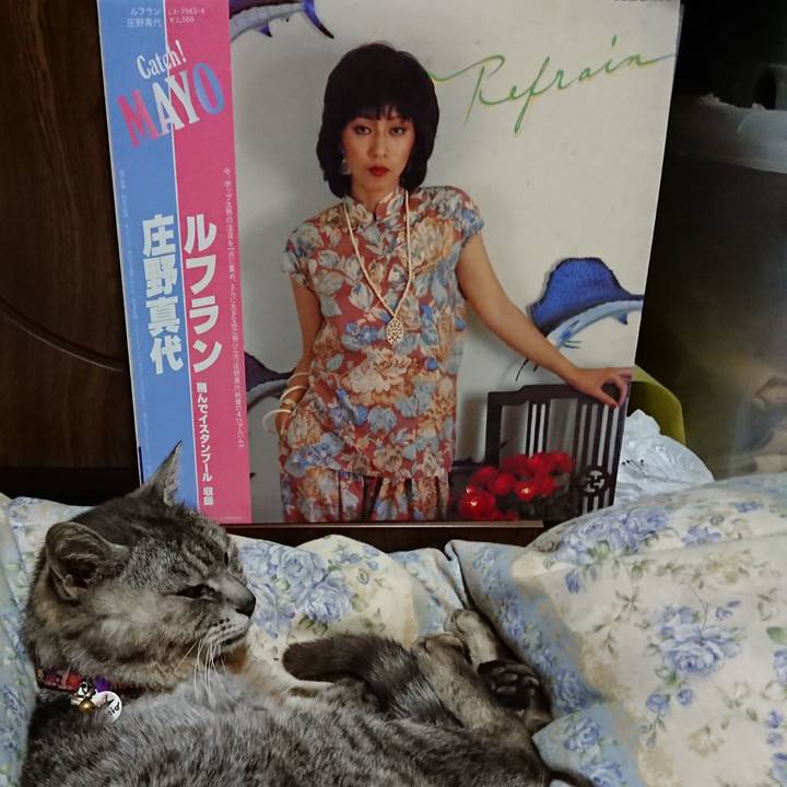 Cebe9d4c 73f7 49ac 964c 72c6dd8f9fbd 1592738993051