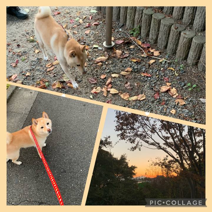 Cebee565 634f 4029 b023 b7ea7c72c7f2 1636970630448