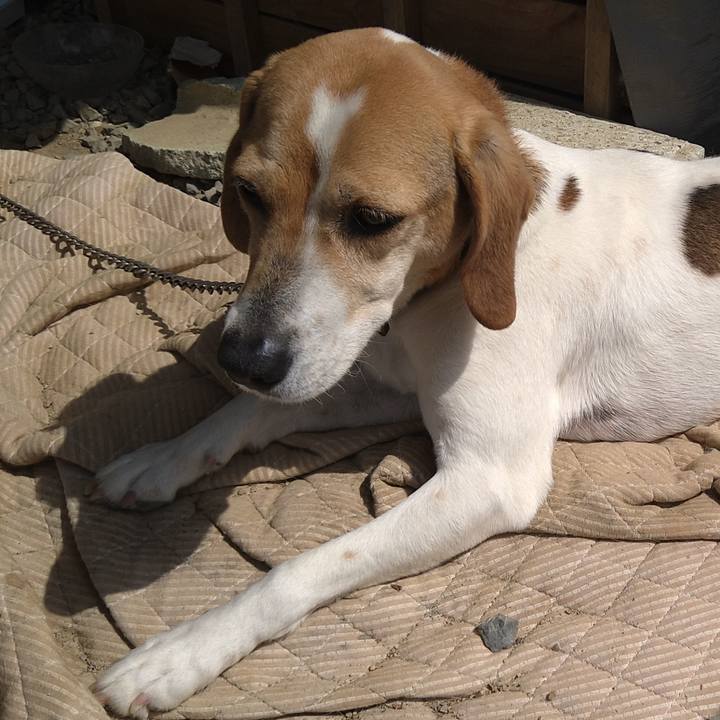 Cebf18e1 e074 43f5 96ca 5a5003c5f98b 1658729504752