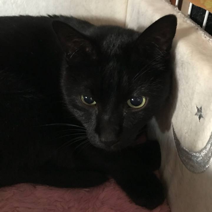 Cebf2239 b485 4368 9d6a d0e4d3667feb 1516758067326