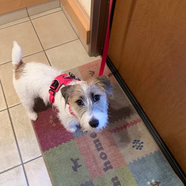 Cebf2625 f161 4216 b7dd b62cbb8ac2c0 1571218628242