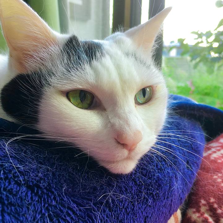 Cebf288f 8c87 40df a26d d7e5c5935e62 1602457097783