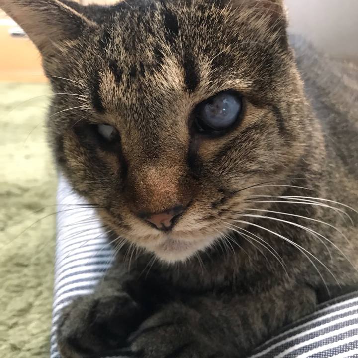 Cebf301e 16fb 4d02 ad74 5c5e9c4544a2 1596288673767