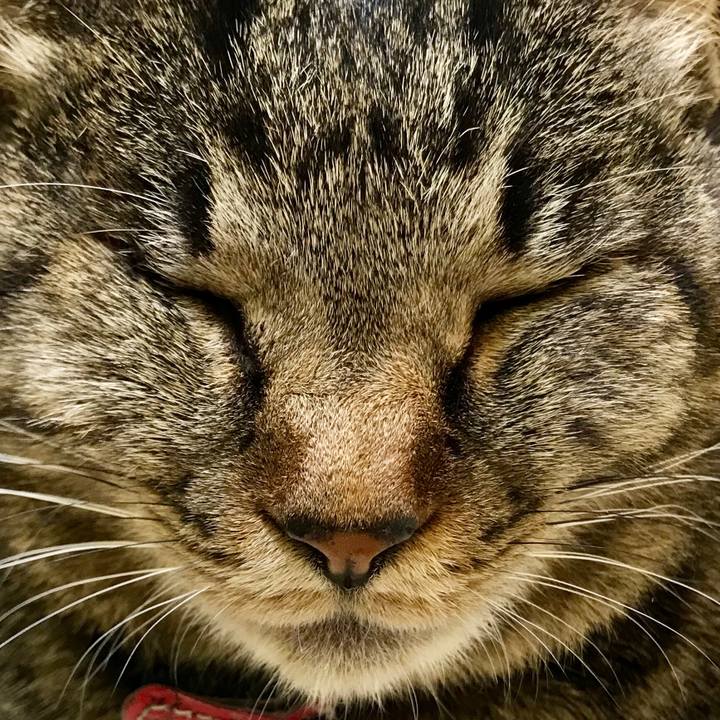 Cebf8689 18f9 4f12 872f 51adb41e1cfc 1516628159828