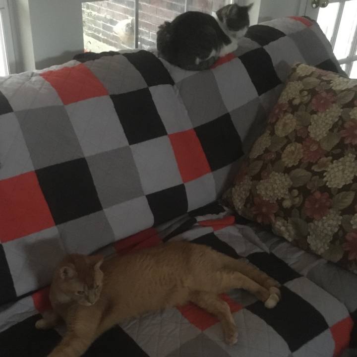 Cebf97e7 9b9b 4969 acdc a4fec4ed43b4 1645500841867