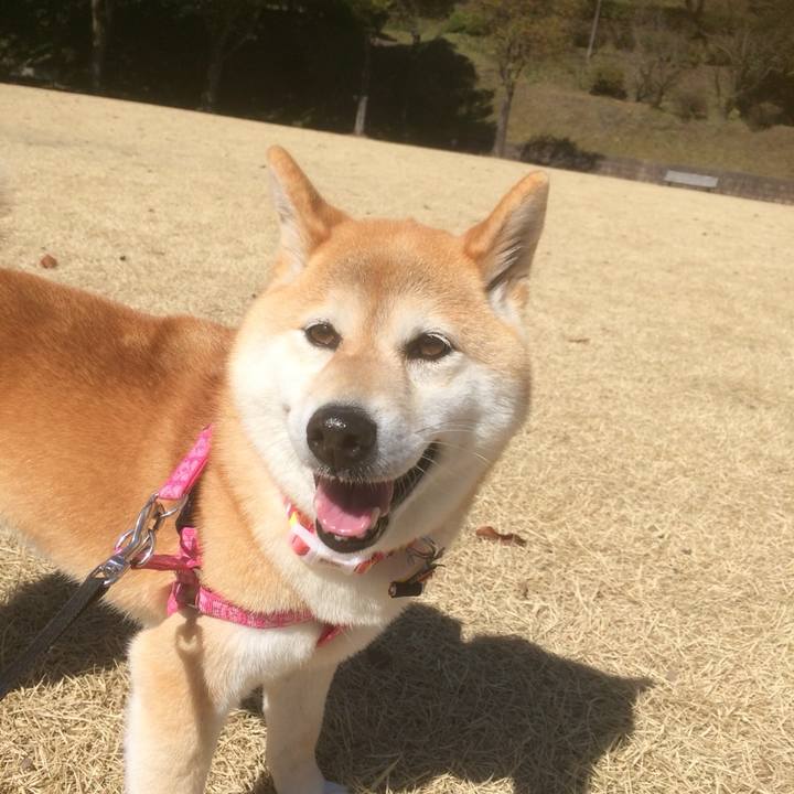 Cebfb9cc f416 4f7c 9897 6bec38ded87c 1698984486041