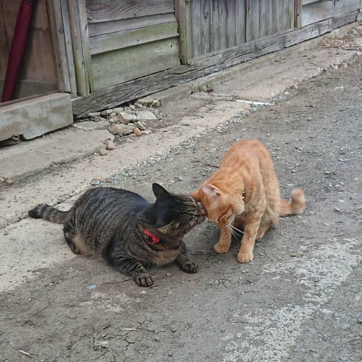 Cebfe99d 29f8 4371 9380 0a3ab8e5ab71 1663057183526