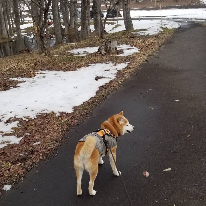 Cec01b6c 7630 4c9d b396 07c400bd9318 1711337445201