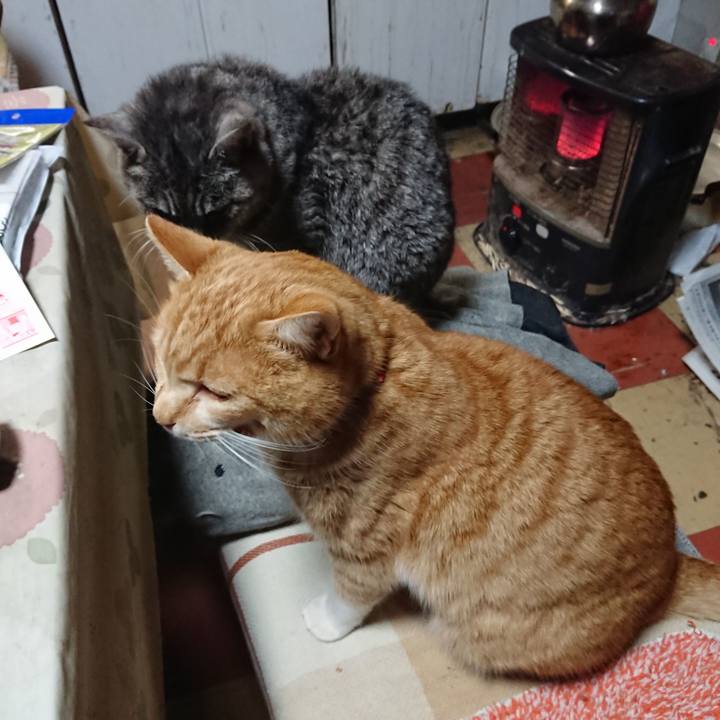 Cec0270c 5dde 4a98 9a38 39be137a5db3 1578043676616