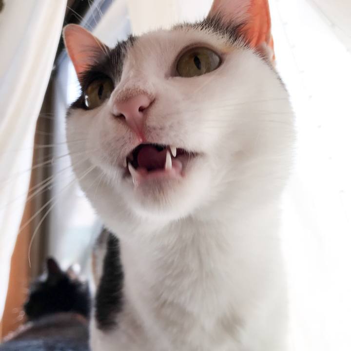 Cec02dfd 593a 498e b8ce eb47c34c3e4e 1528508123748