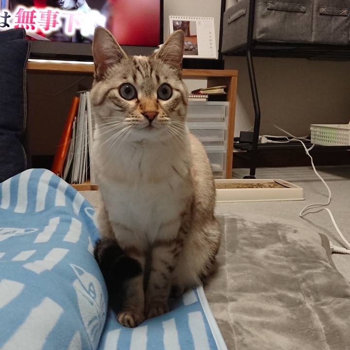 Cec042b8 b36e 4498 bb04 3bf0ebb05e68 1511956193051